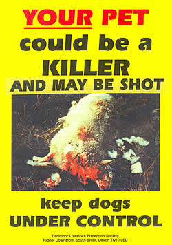 Keep Dogs under Control