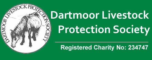 Dartmoor Livestock Protection Society, Registered Charity No: 234747